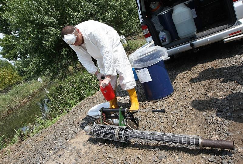 CHEMIE. Pracovníci dezinsekční a deratizační firmy likvidují larvy i vylíhnuté komáry v Bohušovicích. V terénu nyní budou každý den, pokud to počasí dovolí.