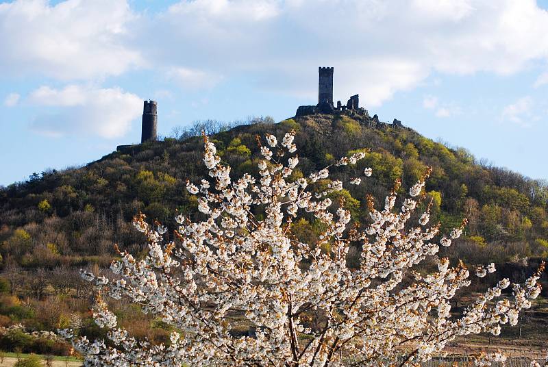 Jaro u hradu Házmburk