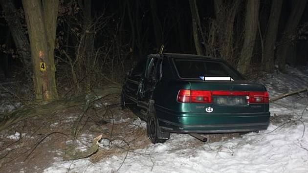Policisté hledají svědky nehody, která se stala v pondělí 23. ledna v lesíku mezi obcemi Záluží a Dobříň 