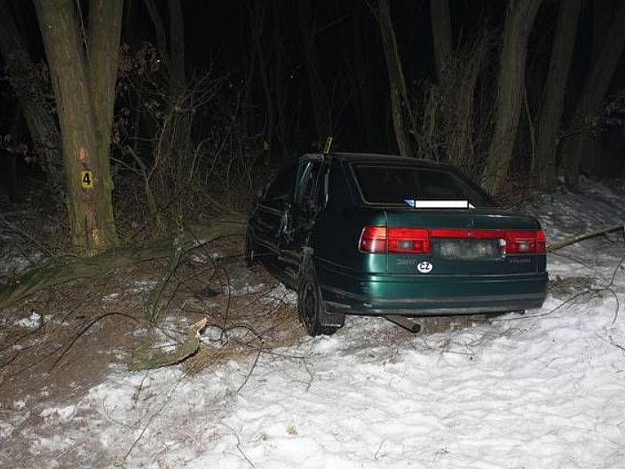 Policisté hledají svědky nehody, která se stala v pondělí 23. ledna v lesíku mezi obcemi Záluží a Dobříň 