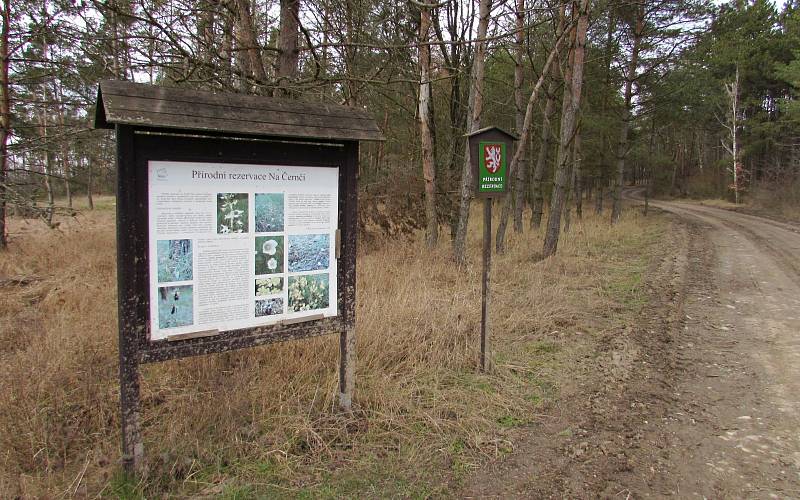 Krajina v okolí Rašovic a Julčína na Úštěcku, kde má vést zamýšlená přeložka silnice I/9