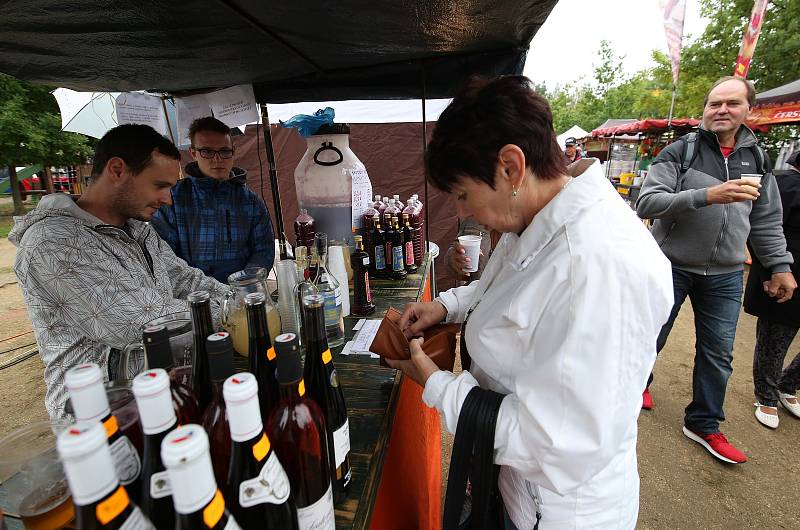 Vinobraní v Roudnici nad Labem, rok 2019