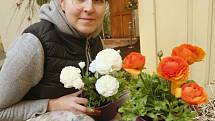 Floristka Pavlína Švecová aranžuje květinovou výzdobu ve výstavním pavilonu A.