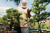 NA SVÉ ZAHRADĚ v Poplzích má Karel Chramosta velkou sbírku bonsají. Většinu jeho čtyřicetileté práce ale poničily kroupy, které se na Libochovicko snesly před měsícem. Borovice a buk na snímku v té době byly na výstavě v trojské botanické zahradě. 