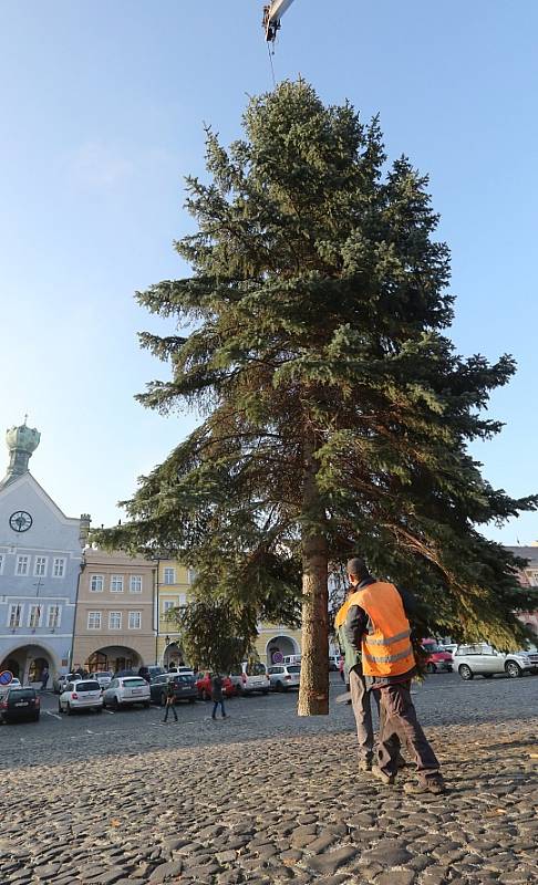 Na Mírové náměstí byl přivezen vánoční strom.