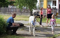 Odpoledne se zvířátky z Adélčina dvorečku připravil ve čtvrtek pro děti Dům dětí a mládeže Rozmarýn v Litoměřicích.