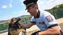 Chovná stanice služebních psů Policie ČR se po pěti letech opět přestěhovala zpět do Prackovic nad Labem.