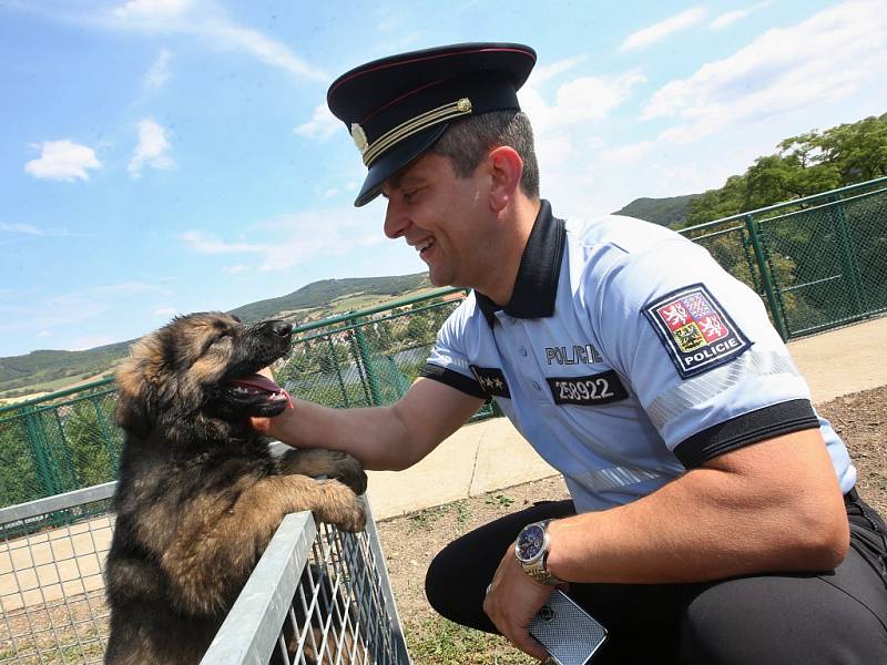 Chovná stanice služebních psů Policie ČR se po pěti letech opět přestěhovala zpět do Prackovic nad Labem.