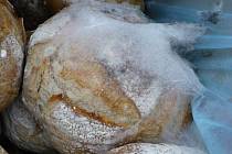 SZPI při kontrole 15. června v pekárně provozovny nalezla celkem 64 rozmražených polotovarů chlebů, které byly viditelně napadeny koloniemi plísní. Tyto produkty byly přitom připraveny spolu s jinými druhy polotovarů k rozpékání a následnému prodeji v odd