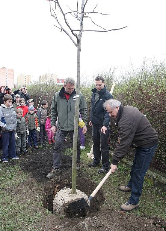 Akce Zasaď si svůj strom v Litoměřicích