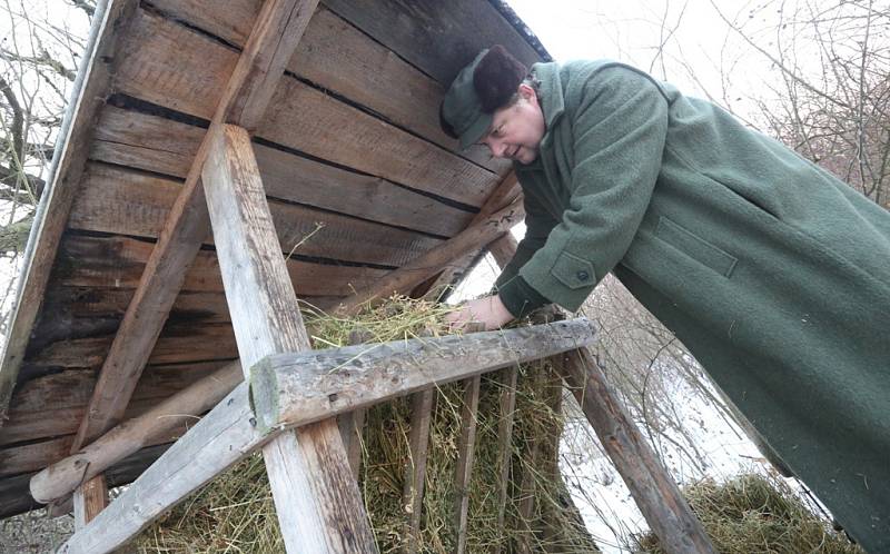 Myslivci v Chodovlicích v mrazech přilepšují zvířatům.