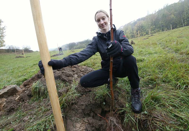 V Tluční vysazovali místní obyvatelé a brigádníci ovocný sad z původních druhů jabloní a dalších ovocných dřevin.