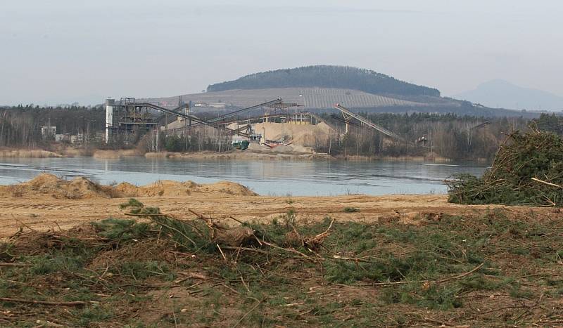 Prostor určený k další těžbě štěrkopísku nedaleko Předonína je již odlesněný. Na řadu přijde dobývání pařezů a skrývka zeminy.