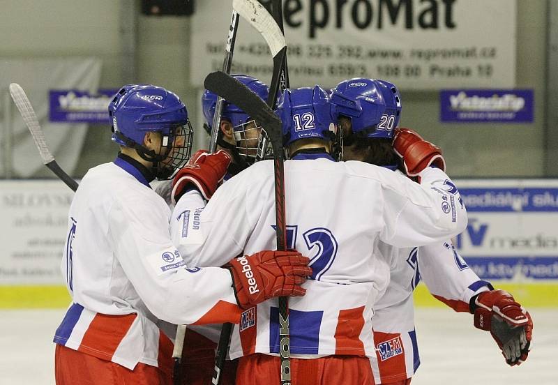 Česko 17 - Finsko 17 v Roudnici.