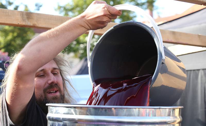 V pátek začalo tradiční vinobraní v Litoměřicích, které bude pokračovat v sobotu hlavním programem.