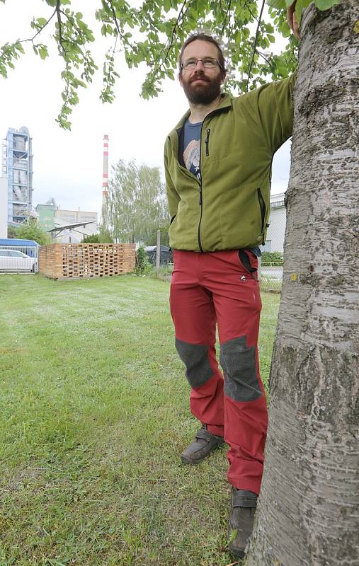 Na komínu Čížkovické cementárny Lafarge již několik let hnízdí sokol stěhovavý. Nyní budou opouštět hnízdo další mláďata.