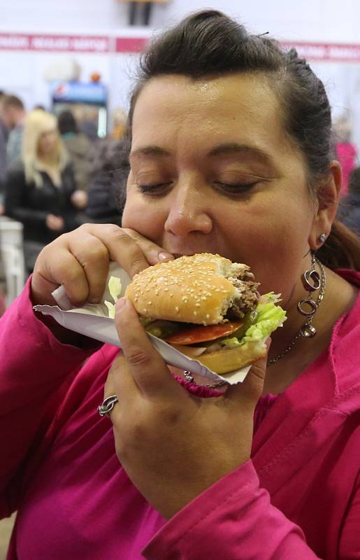 Gastrofest v Litoměřicích