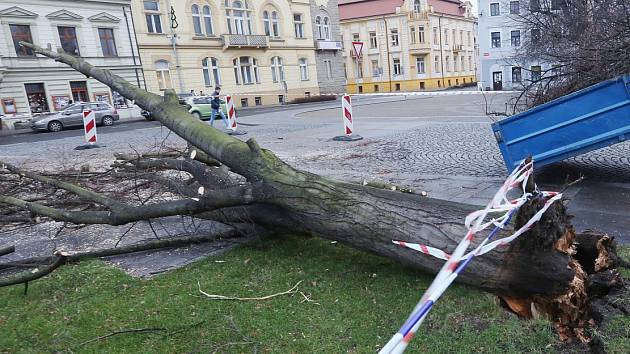 STROM na Václavském náměstí v Lovosicích spadl těsně před koncem roku.