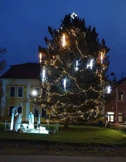Vánoční strom v Radovesicích