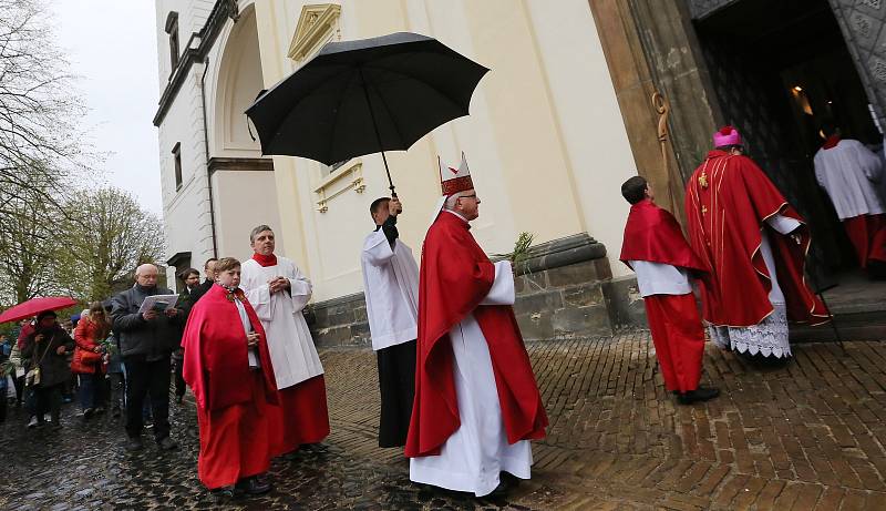 Za mírného krápání žehnal biskup před nedělní mší v litoměřické katedrále svatého Štěpána kočičkám, palmovým listům a jiným zelenajícím se větvičkám.