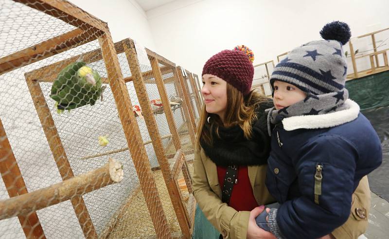 Výstava Děti a zvířata na litoměřické Zahradě Čech