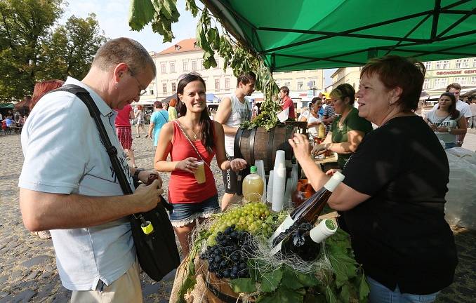 První den litoměřického vinobraní 2016