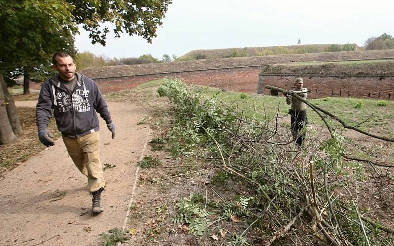 Organizátoři Josefínských slavností v Terezíně v pondělí odpoledne chystali na bojišti bariéry z náletových křovin, které budou vymezovat prostor pro vojáky.