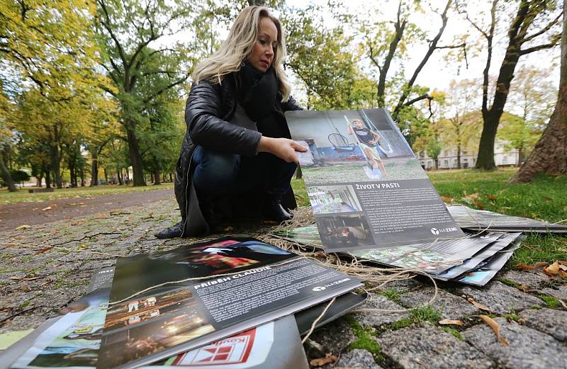 Zaměstnankyně litoměřického úřadu instalují v Jiráskových sadech Výstavu na stromech.