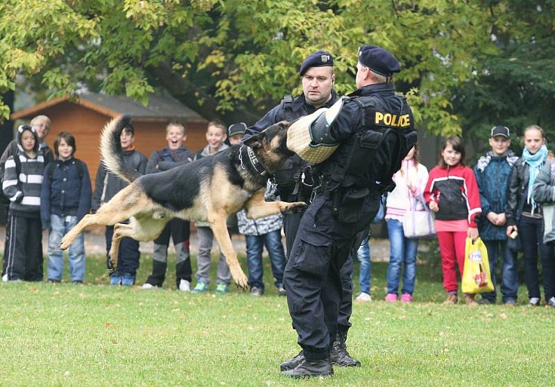 Žáci pátých tříd si vyzkoušeli práci profesionálů