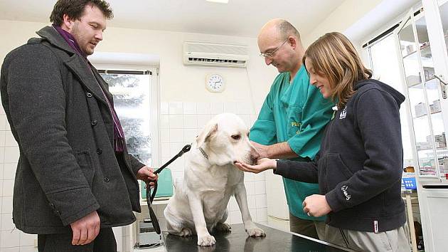 RADY. Třebenický veterinární lékař Marek Káninský radí, jak se o psa postarat během Silvestra.