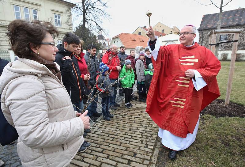 Mše svatá o Květné neděli v Litoměřicích