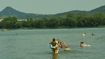 Návštěvníci na úštěckém rybníku Chmelař nevnímají sinice jako zdravotní riziko.