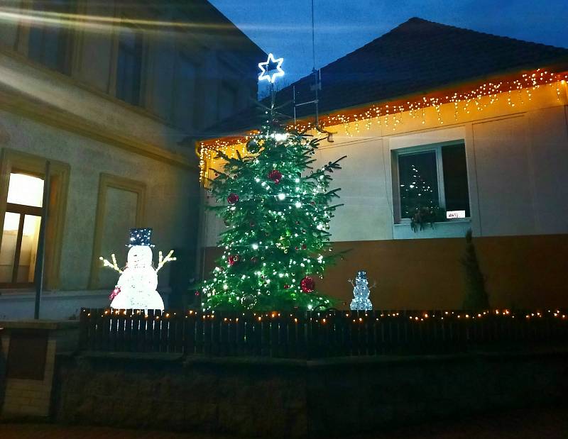 Vánoční strom v Dolánkách nad Ohří