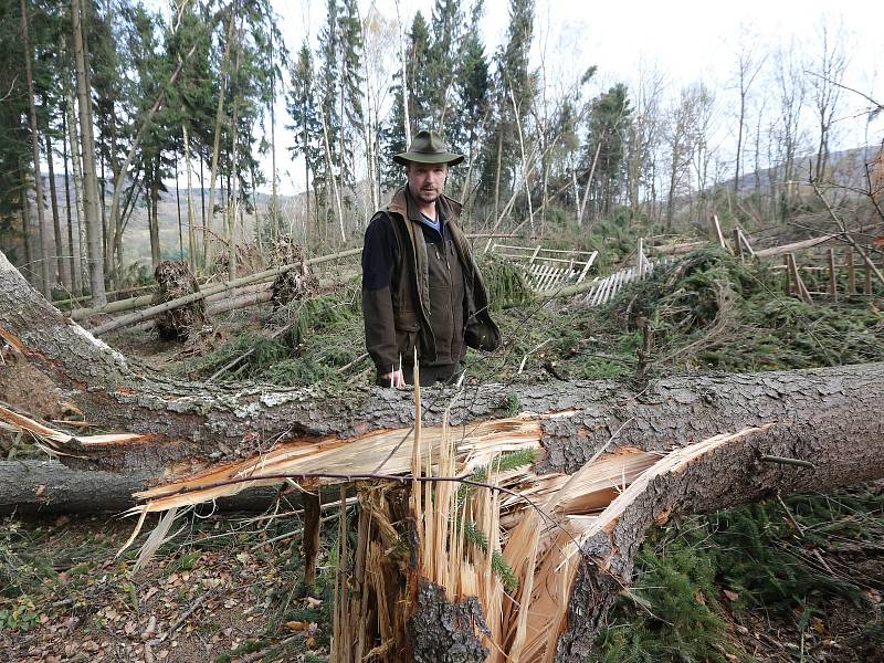 „Zaplaťpánbůh, že už nerostou houby. To by bylo lidem úplně jedno, že na ně může spadnout strom,“ poznamenal při obhlídce revíru Lipská hora revírník Ladislav Jandečka. Zákaz vstupu do lesů může na některých místech trvat až do konce příštího roku.