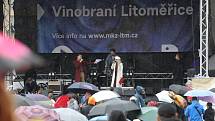 Tradiční vinobraní v Litoměřicích.