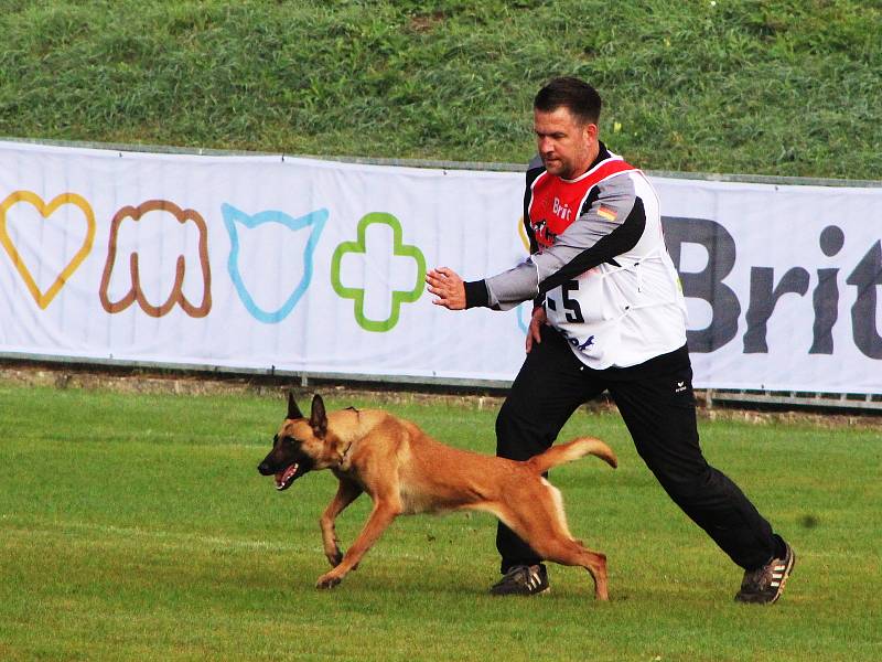 Nejlepší pracovní psi světa se svými psovody přijeli do Roudnice nad Labem. Koná se tam světový šampionát mezinárodní kynologické organizace FCI. Psi předvádějí svou poslušnost, ale také obrany a umění na stopách.