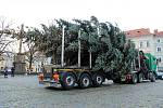 Stavění vánočního stromu na Mírovém náměstí v Litoměřicích, pondělí 22. listopadu