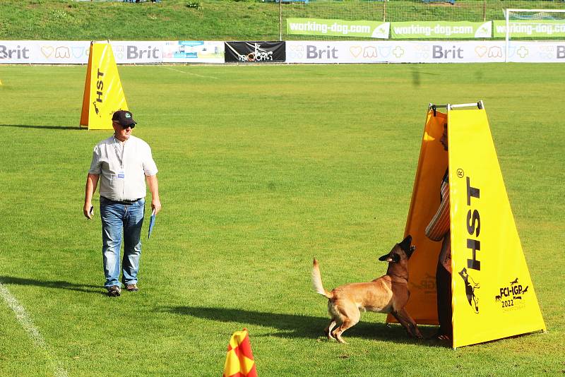 Nejlepší pracovní psi světa se svými psovody přijeli do Roudnice nad Labem. Koná se tam světový šampionát mezinárodní kynologické organizace FCI. Psi předvádějí svou poslušnost, ale také obrany a umění na stopách.