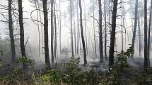 Hasiči bojují s rozsáhlým požárem lesa u Račic