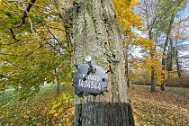 Libochovický městský lesopark je oázou klidu, po nedávném pasportu zeleně bude bezpečnější