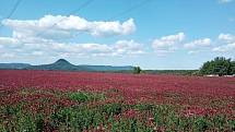 Přeložka silnice I/9 má vést i okolo Skalky u Blíževedel, kterou hojně vyhledávají turisté.