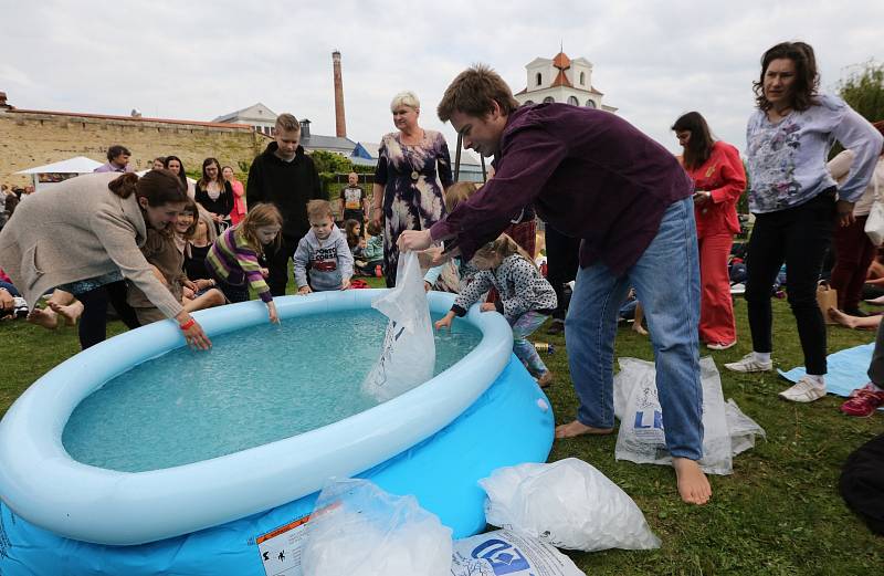 Součástí litoměřického Allfestu 2019 byla i ledová koupel