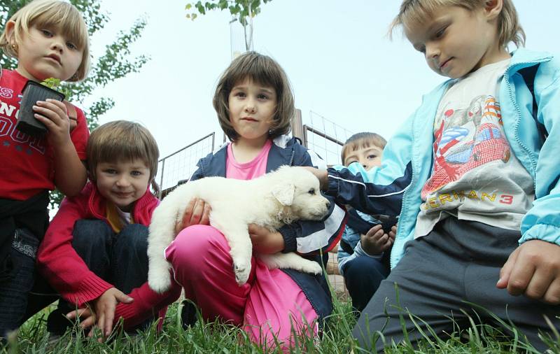 Zábavné dopoledne si užily děti ze školek na Štětsku v zemědělské farmě v Ředhošti, 2009