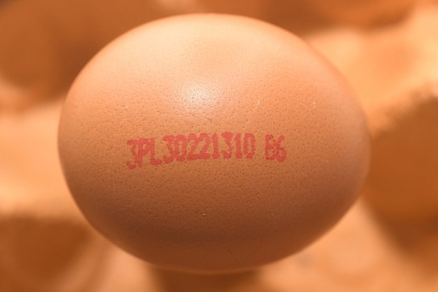 Toto vejce pochází z klecového chovu v Polsku.