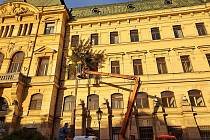 Před budovou bývalého vojenského velitelství v centru Litoměřic pokáceli stromy.