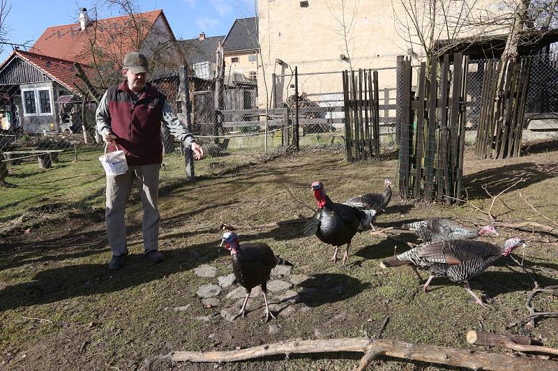 ZOOCENTRUM v Srdově na Litoměřicku po loňském požáru funguje. Na snímku preparátor Michal Fišer.