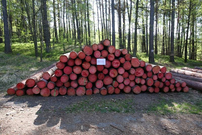 Deponie dřeva lesní hospodáři Lesů ČR ošetřují postřikem proti kůrovci a proto umisťují zákazy.