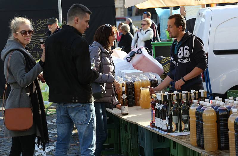 V pátek začalo tradiční vinobraní v Litoměřicích, které bude pokračovat v sobotu hlavním programem.