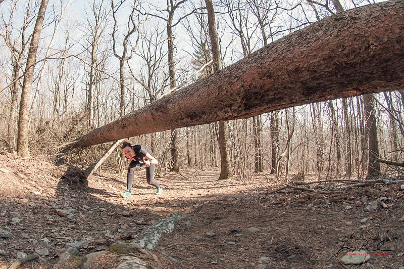 Třetí díl seriálu Solap Král Středohoří, Výběh na Milešovku 2019. Foto: Petr Bauer