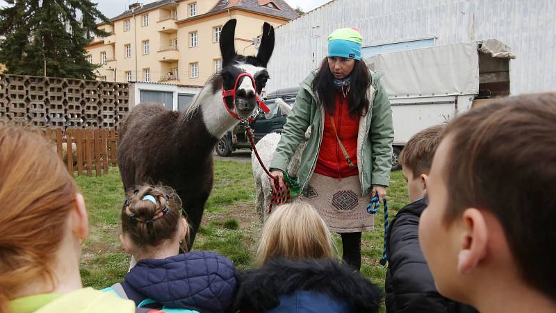 Policie ve spolupráci se Zdravím městem a složkami IZS pořádala akci pro děti z pátých tříd základních škol v Litoměřicích